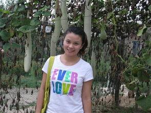 神奇的瓜吃几天能长回来,三天恢复，见证奇迹般的生长力量